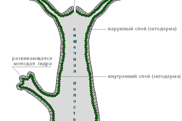 Кракен официальное зеркало