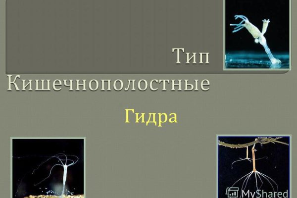 Кракен зеркало рабочее на сегодня krakenat2krnkrnk com