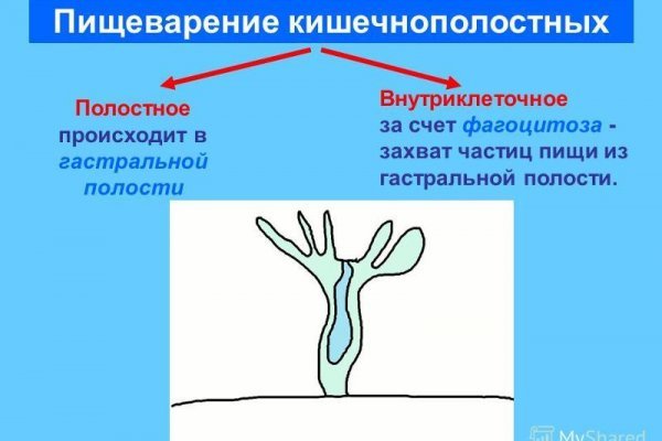 Кракен почему пользователь не найден